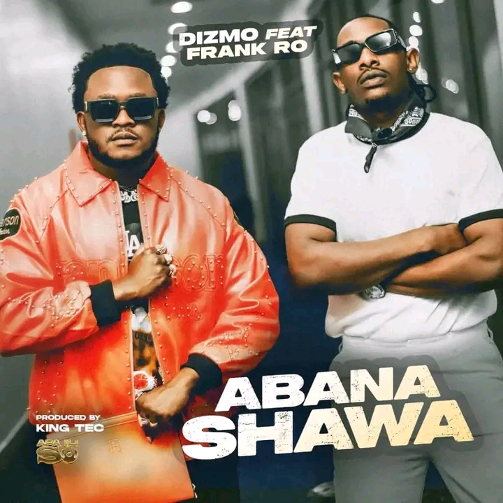 Dizmo_Ft_Frank_Ro-Abana_Shawa_official_music_video__By_Director_lo.(256k)
