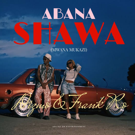 Dizmo_Ft_Frank_Ro-Abana_Shawa_official_music_video__By_Director_lo.(720p)
